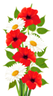 Poppies and Daisies Transparent PNG Clipart