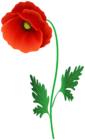 Poppy Flower PNG Clipart Image