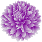 Purple Dahlia Flower PNG Clipart