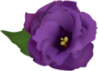 Purple FlowerPNG Transparent Clip Art Image