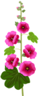 Purple Flower Clip Art Image