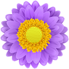 Purple Flower Clip Art PNG Image