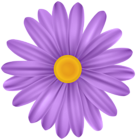 Purple Flower Daisy PNG Transparent Clipart