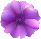 Purple Flower Decorative Transparent Clip Art