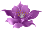 Purple Flower Transparent Clip Art Image