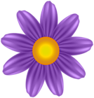 Purple Flower Transparent Clipart
