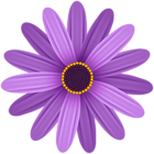 Purple Flower Transparent PNG Clip Art Image