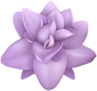 Purple Flower Transparent PNG Image