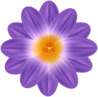 Purple Spring Flower PNG Clipart