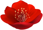 Red Beautiful Flower PNG Transparent Clipart