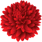Red Dahlia Flower PNG Clipart
