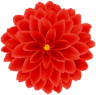 Red Dahlia Flower Transparent Clipart
