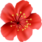 Red Flower Clip Art Image