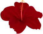 Red Flower Hibiscus PNG Transparent Clipart