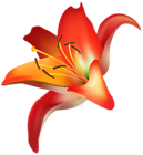 Red Flower PNG Clip Art Transparent Image