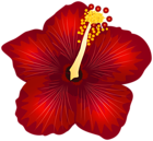 Red Flower PNG Clipart