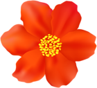 Red Flower PNG Clipart Image