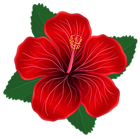 Red Flower PNG Clipart Image