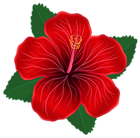 Red Flower PNG Clipart Image | Gallery Yopriceville - High-Quality