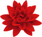 Red Flower PNG Deco Image