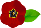 Red Flower PNG Image