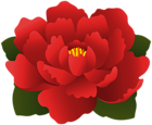 Red Flower Transparent Clip Art