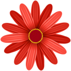 Red Flower Transparent PNG Clip Art Image