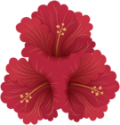 Red Flowers PNG Clip Art Image