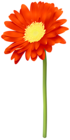Red Gerber Daisy PNG Transparent Clipart