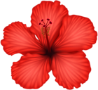 Red Hibiscus PNG Clip Art