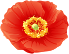 Red Poppy Flower Clip Art
