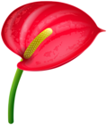 Red Tropical Flower PNG Clipart