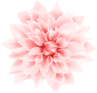 Red White Flower PNG Clipart