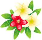 Red and Yellow Exotic Flowers PNG Clipart Image