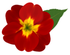 Red and Yellow Flower PNG Clipart Image