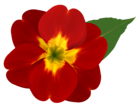 Images tag: Flowers PNG | Gallery Yopriceville - High-Quality Images