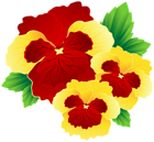 Red and Yellow Pansies PNG Clipart Image