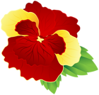 Red and Yellow Pansy PNG Clipart Image