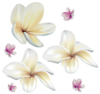 Soft Exotic Flowers PNG Clip Art Image