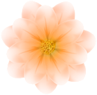 Soft Orange Flower PNG Transparent Clipart