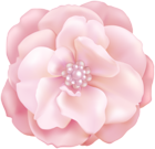 Soft Pink Flower Decorative Clip Art Image