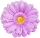 Soft Purple Flower Transparent PNG Clip Art