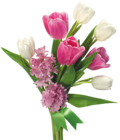 Spring Bouquet of Tulips and Hyacinths PNG Transparent Picture