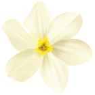 Spring Flower Decorative Transparent Image