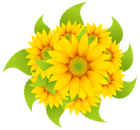 Sunflowers Decoration Clipart PNG Image