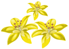 Three Yellow Flowers PNG Image