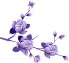 Transparent Painted Large Purple Flower Clipsrt
