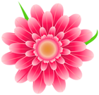 Transparent Pink Flower Clipart PNG Image