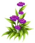 Transparent Purple Flowers PNG Clipart Picture