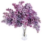 Transparent Vase with Lilac PNG Picture